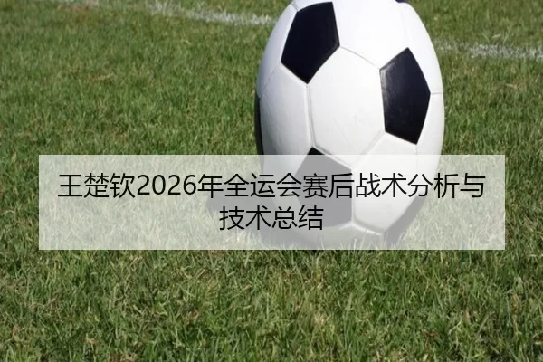 王楚钦2026年全运会赛后战术分析与技术总结