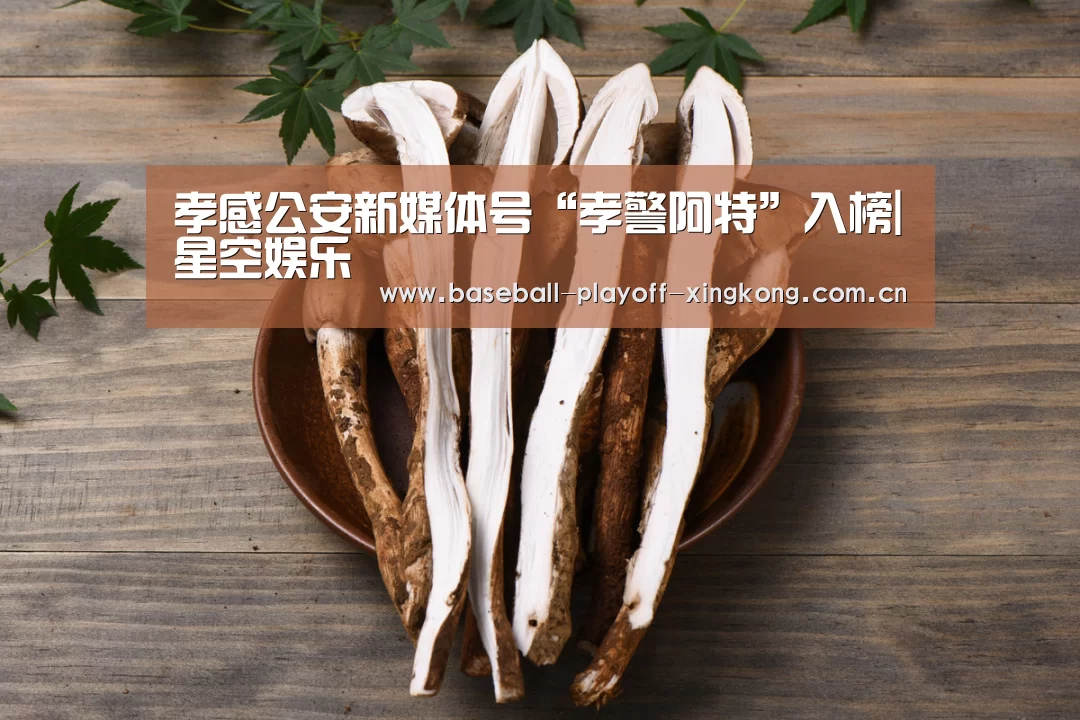 星空体育网站