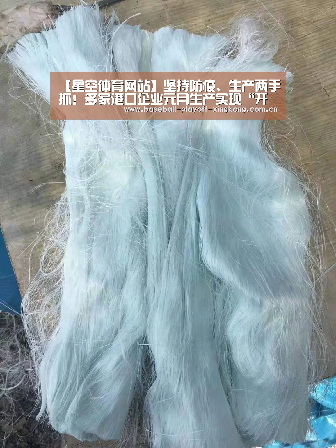 星空娱乐