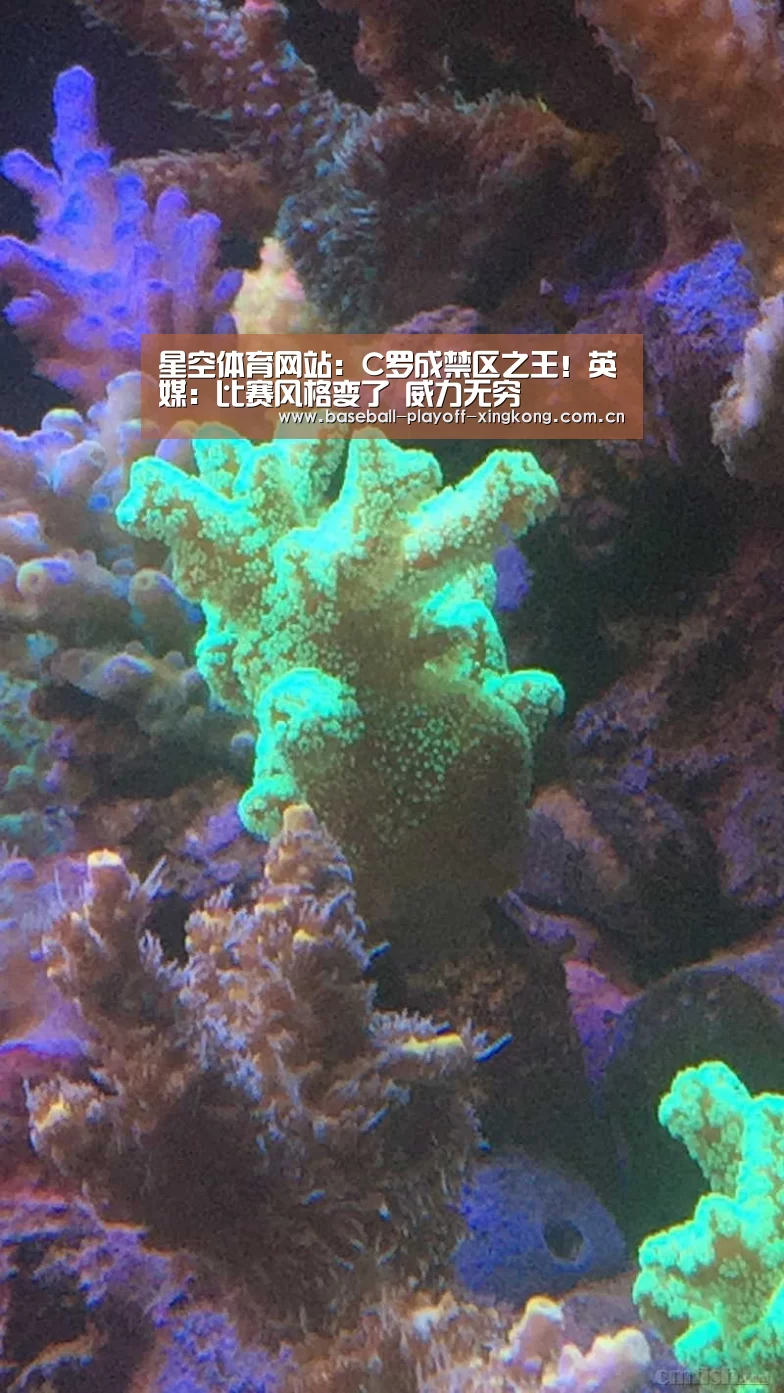 星空体育网站:C罗成禁区之王!英媒:比赛风格变了 威力无穷(图2) 星空娱乐