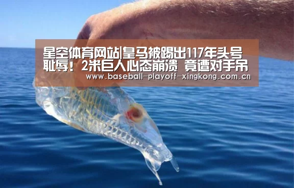 星空体育