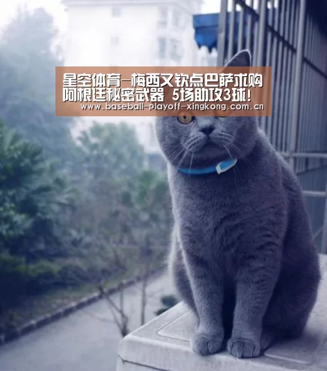 星空体育-梅西又钦点巴萨求购阿根廷秘密武器 5场助攻3球!(图4) 星空娱乐